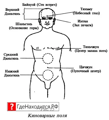 Солнечное Сплетение Где Находится У Человека Фото